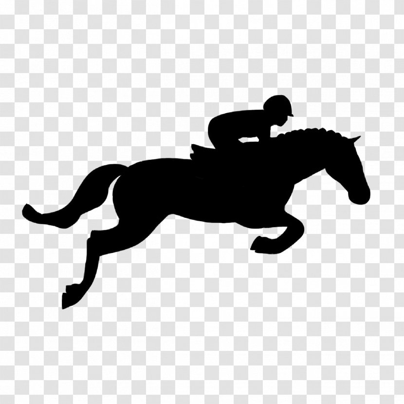 Horse Clip Art Show Jumping Equestrian - Collection Transparent PNG