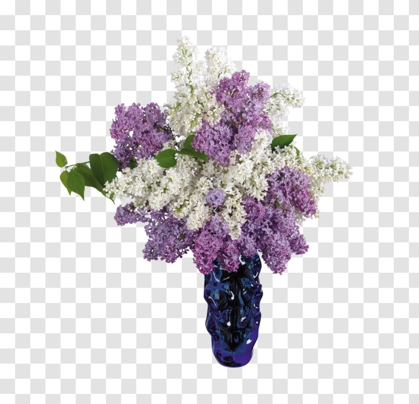 Common Lilac Vase Garden Flower - Roses - сирень Transparent PNG
