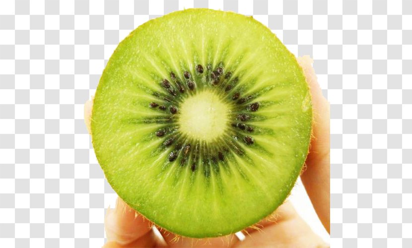 Kiwifruit Auglis Food - Fruit - Kiwi Transparent PNG