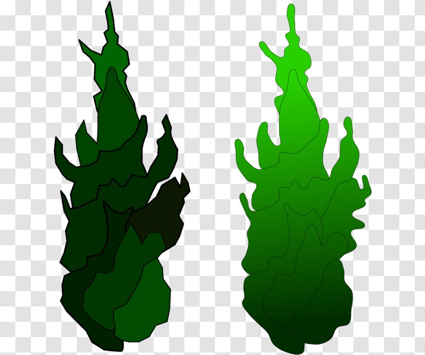 Pine Family Silhouette Tree - Leaf - Plant Transparent PNG