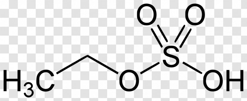 Isovaleraldehyde Methyl Group Ethyl Sulfate Glucuronide Nerve Agent - Acid - Coenzyme Transparent PNG