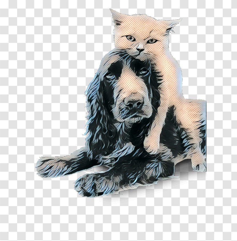 Dog And Cat - Fur - Cocker Spaniel Drawing Transparent PNG