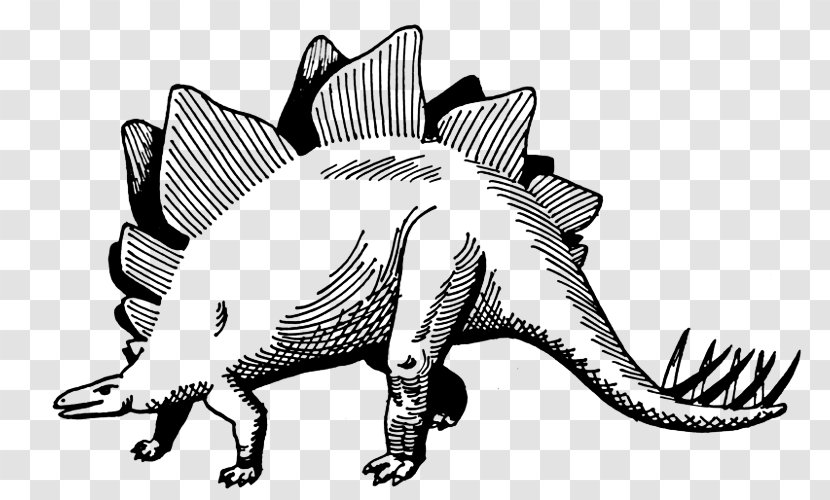 Stegosaurus Dinosaur Drawing Coloring Book Painting - Organism Transparent PNG