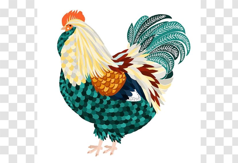 Chicken Rooster Drawing Painting - Poster Transparent PNG