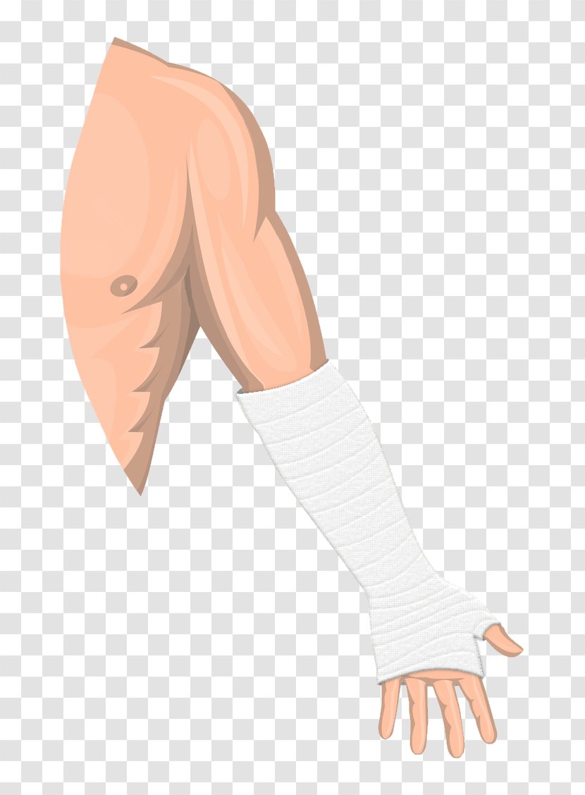 Thumb Arm Homo Sapiens Shoulder - Watercolor Transparent PNG