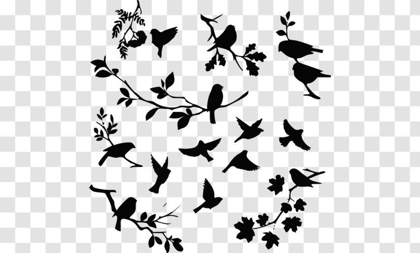 Stock Photography Drawing - Bird - Black And White Transparent PNG