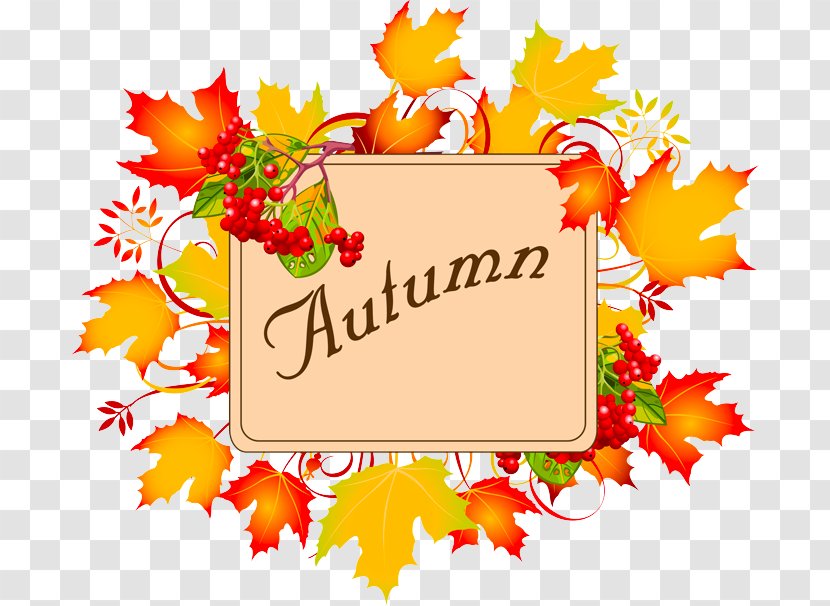 Autumn Leaf Color Vector Graphics Clip Art Image - Autumnal Leaves Transparent PNG