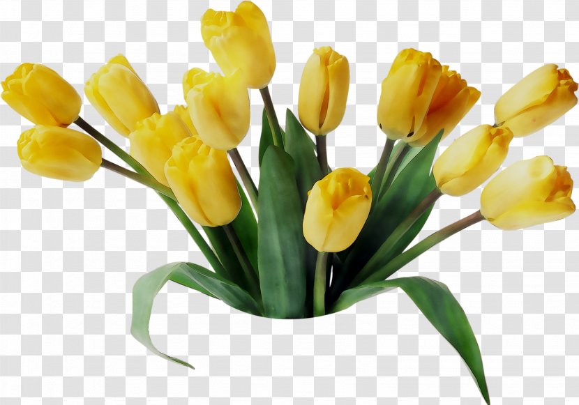 Tulip Floristry Flower Bouquet Cut Flowers - Crocus Transparent PNG