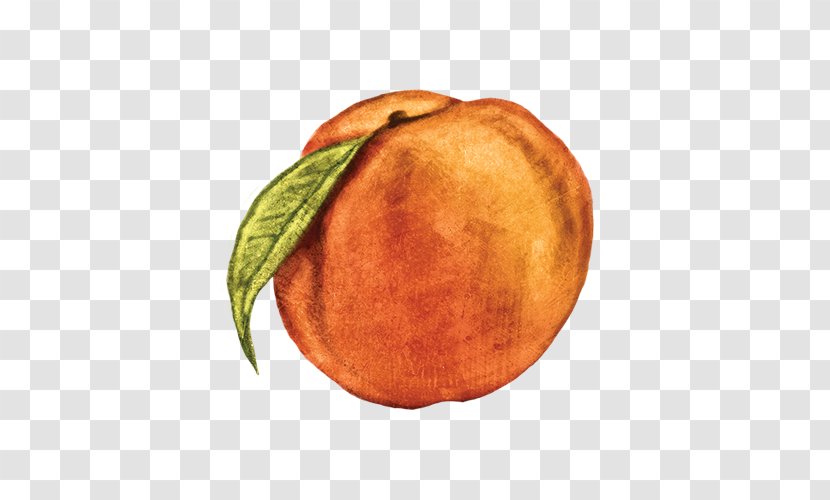 Orange S.A. - Peach - Fruit Transparent PNG