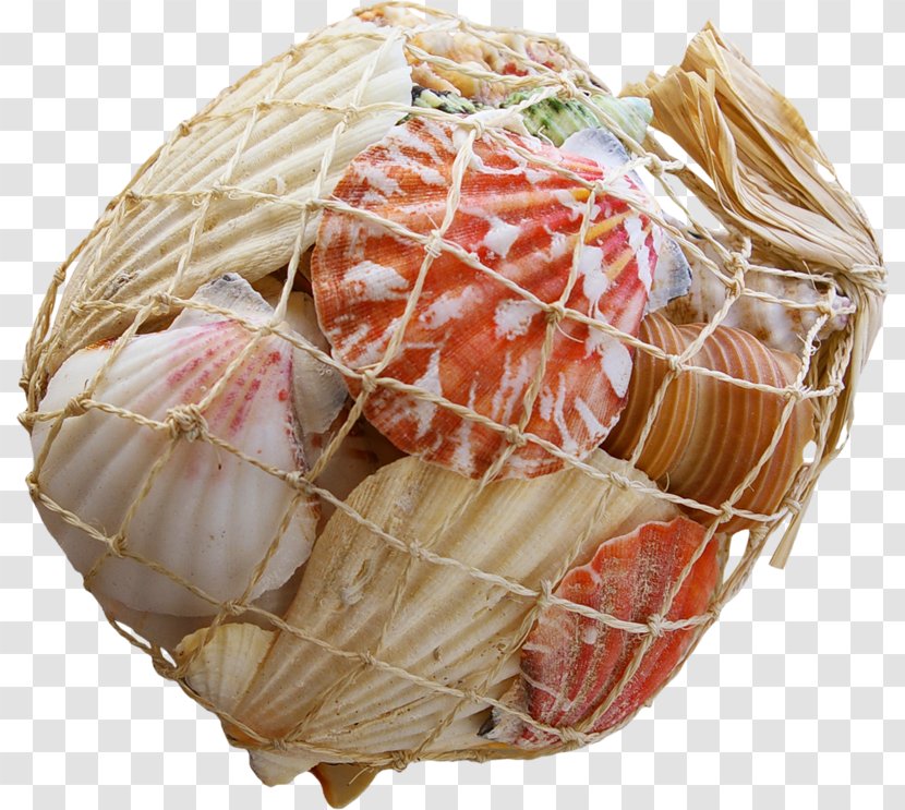 Mussel Clam Oyster Sashimi Food - Seashell Transparent PNG