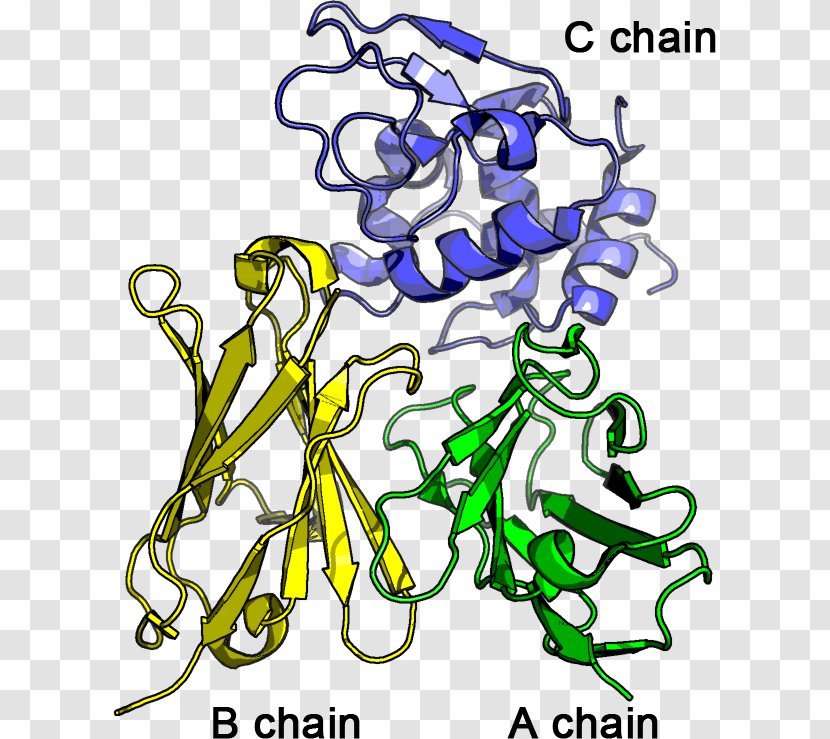 Clip Art Simulation Amino Acid Molecular Dynamics 残基 - Plant Stem - Agricultural Chin Transparent PNG