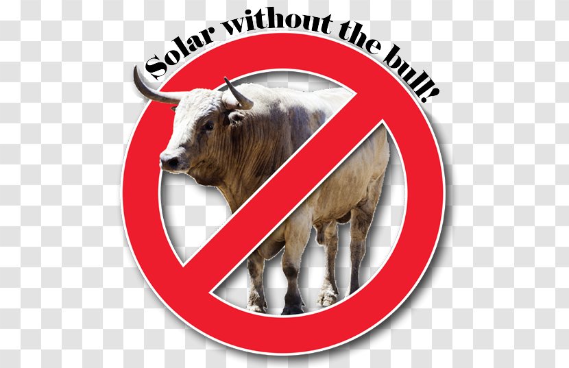 Domestic Yak Ox Solar Panels Cattle Electricity - Video - BULL REPAIR Transparent PNG