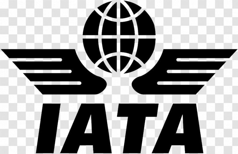 Air Transportation International Transport Association Cargo - Airline - Organization Transparent PNG