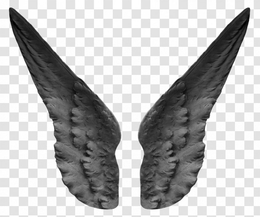 Image Wing Angel Photograph - Fictional Character - Feathers Transparent PNG