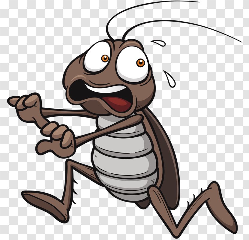 Cockroach Royalty-free Cartoon Clip Art - Shutterstock - Timid Cockroaches Transparent PNG