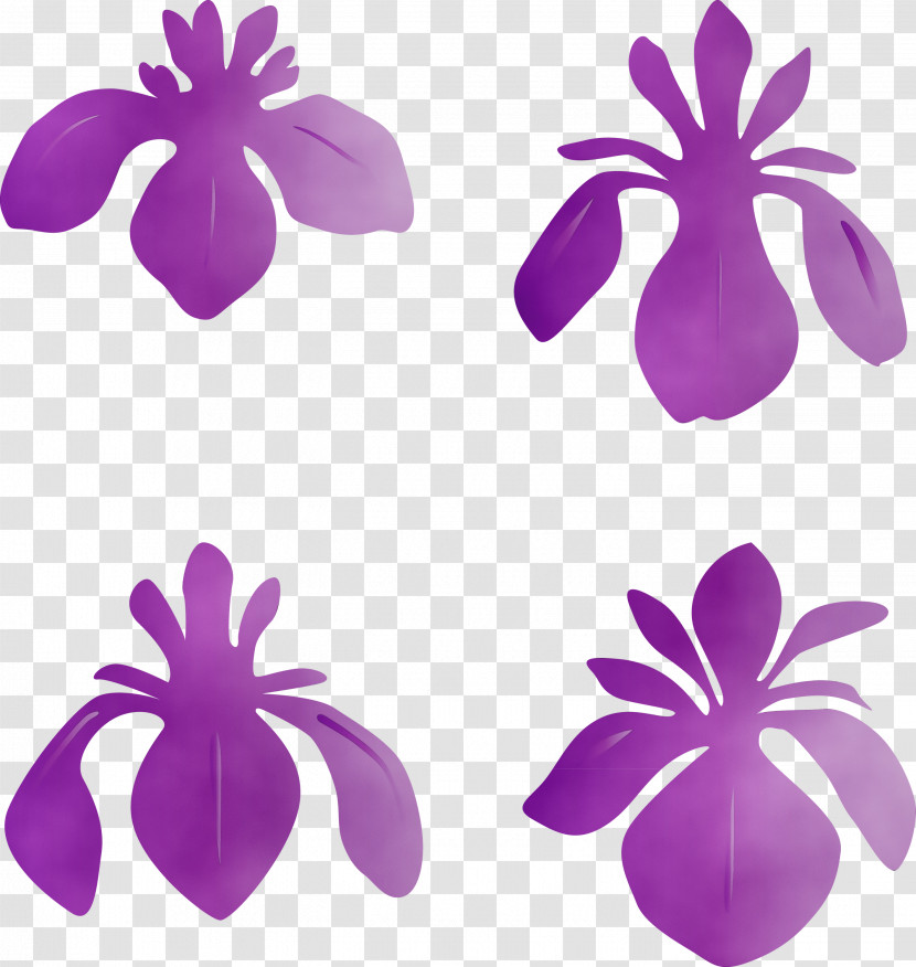Purple Petal Violet Plant Flower Transparent PNG