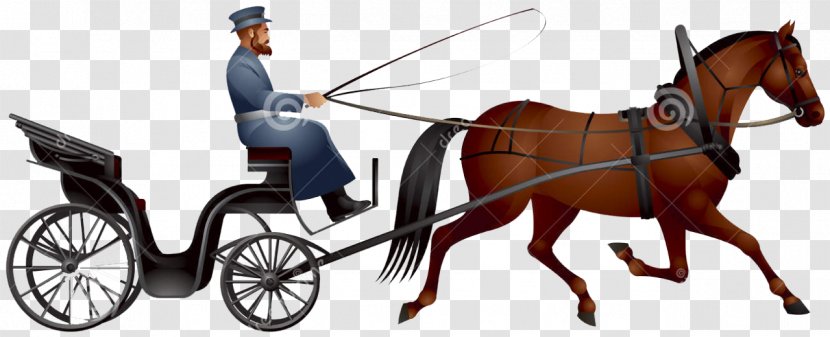 Horse-drawn Vehicle Carriage Horse And Buggy Driving Transparent PNG
