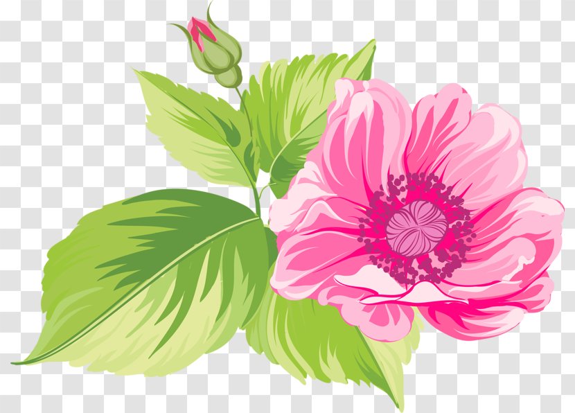 Floral Design Flower Blume Clip Art - Herbaceous Plant Transparent PNG