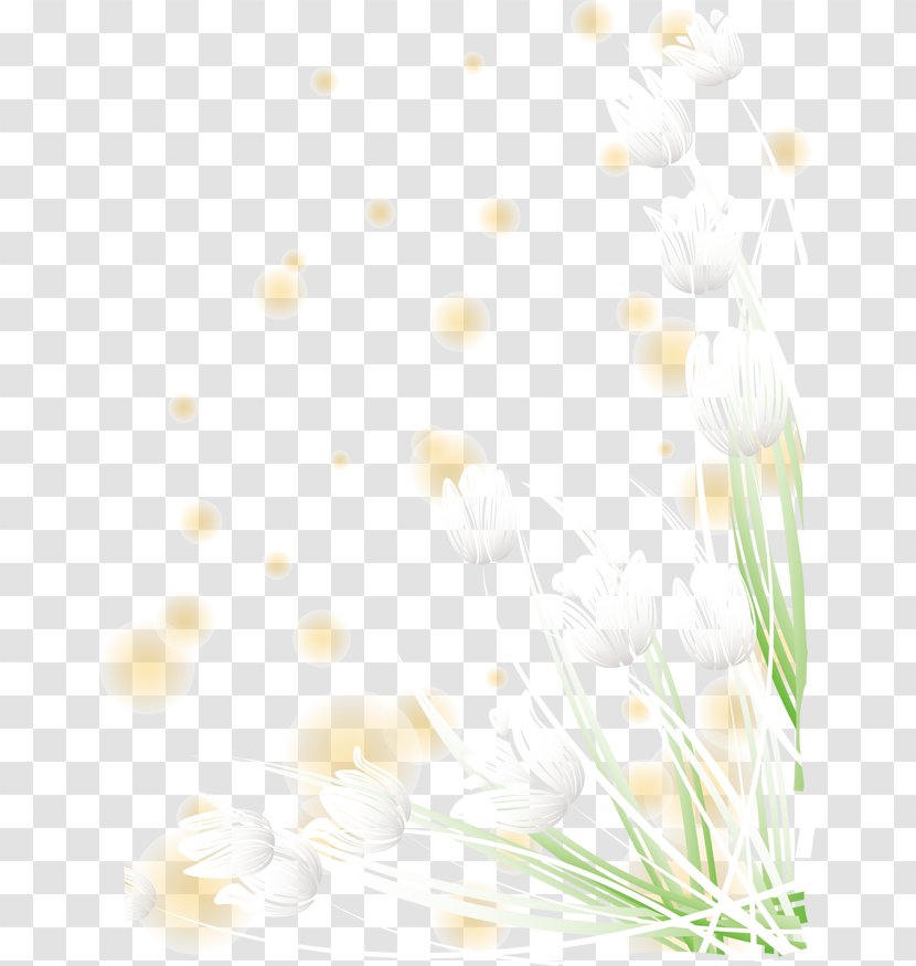 White Flower Pattern - Floral Decoration Transparent PNG
