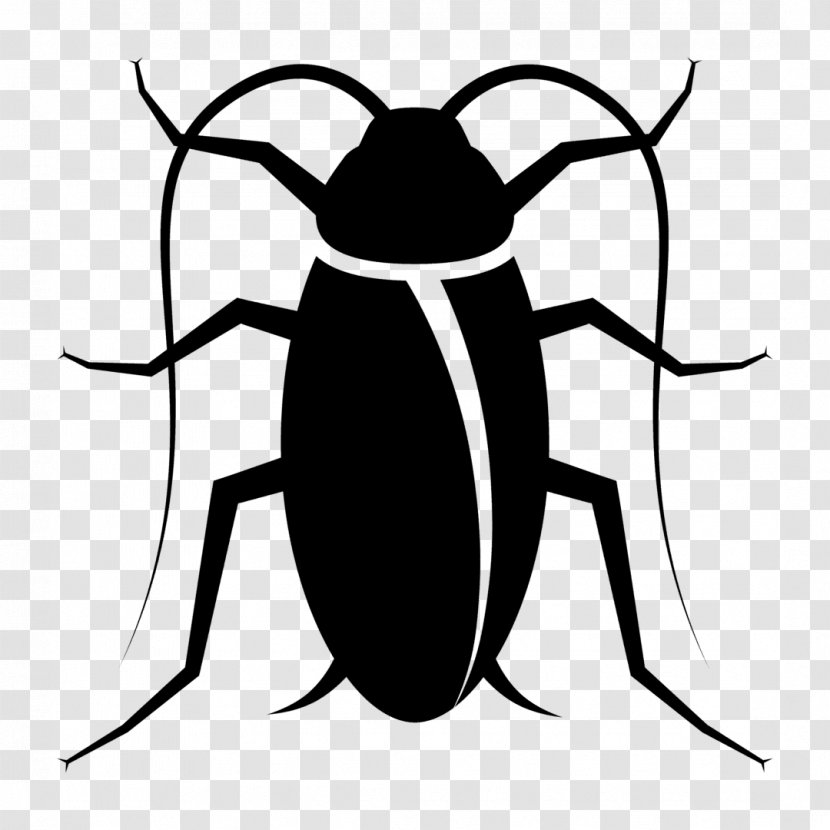 Cockroach Insect Vector Graphics Roach Bait - Termite Transparent PNG