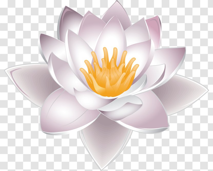 Nelumbo Nucifera Water Lily Clip Art - Pink Lotus Transparent PNG