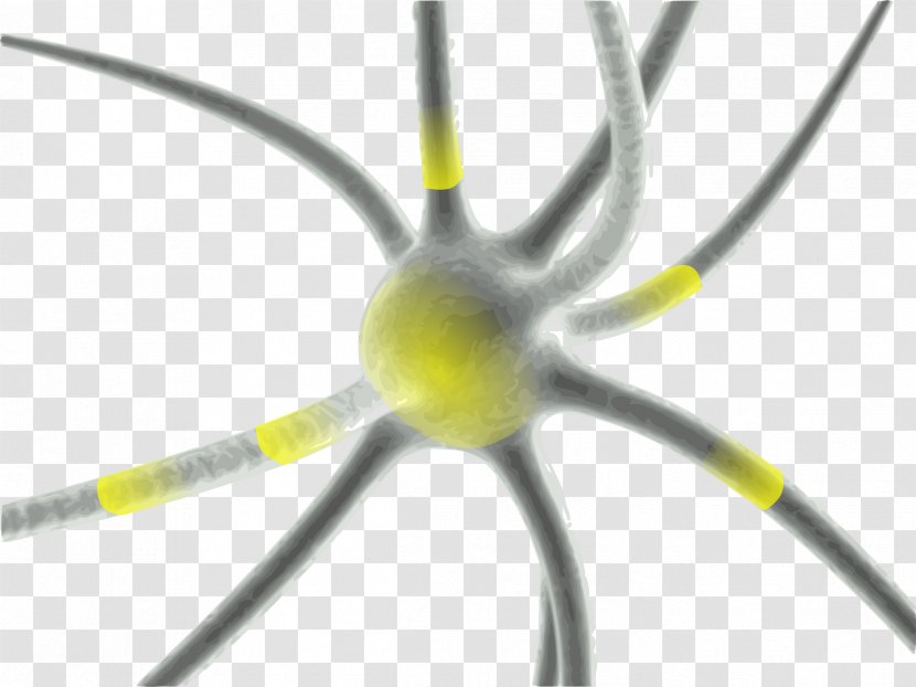 Synapse Neuron Brain Multiple Sclerosis Disease - Neuroplasticity - Neurons Transparent PNG