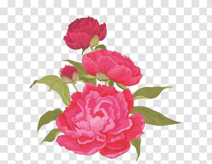 Moutan Peony Pink Clip Art - Gongbi - Red Flowers Transparent PNG