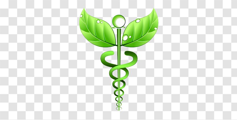 Alternative Health Services Medicine Naturopathy Homeopathy Care - Green Transparent PNG