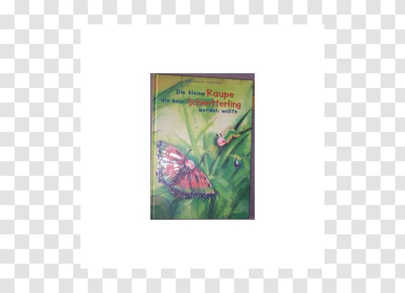 Fauna Zoo Text Organism Butterflies And Moths - Heinrich Hoffmann Transparent PNG