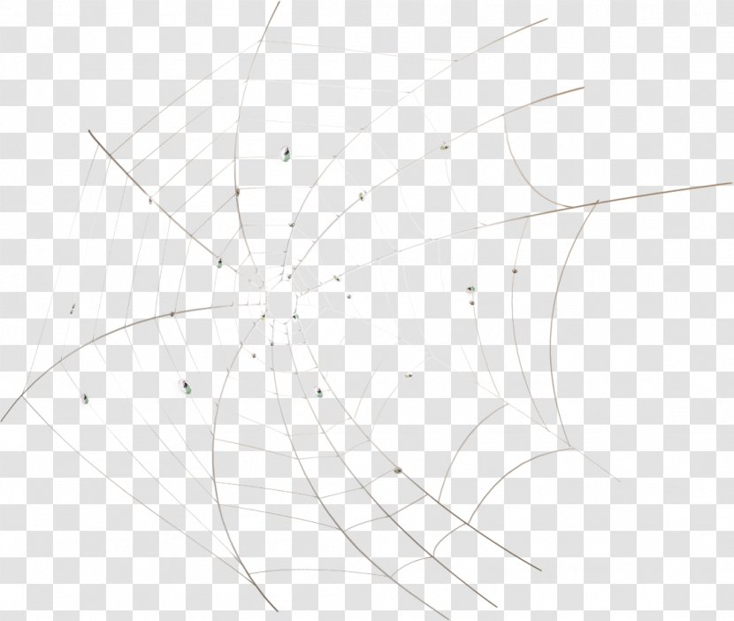 Circle Point White Sketch - Invertebrate Transparent PNG