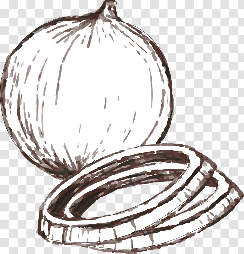 Onion Ring Computer File - Black And White - Hand Painted Vector Transparent PNG