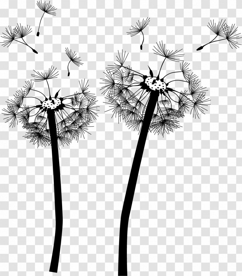Dandelion Wall Decal Mural - Monochrome Photography - Hand Painted Transparent PNG