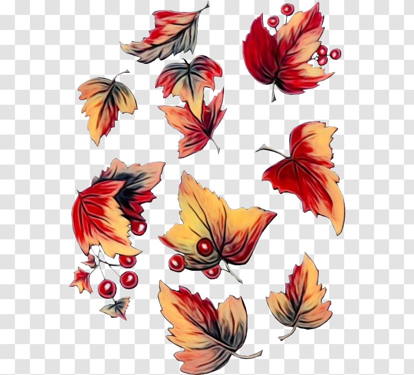 Butterfly Clip Art Leaf Moths And Butterflies Plant - Pollinator Transparent PNG