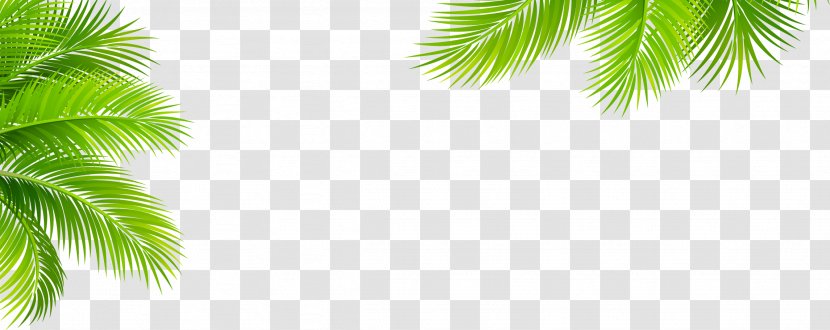 Leaf Pattern - Plant - Green Transparent PNG
