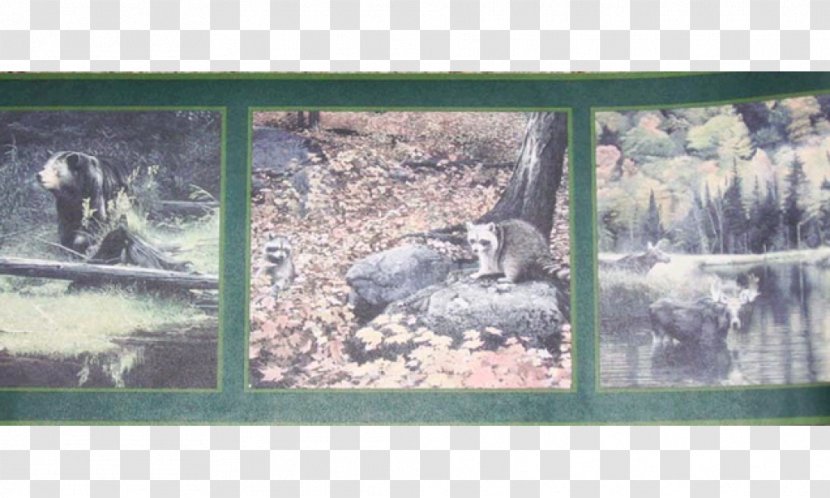 Mammal Picture Frames York Wallcoverings Inc Wallpaper - Green - Border Animal Transparent PNG