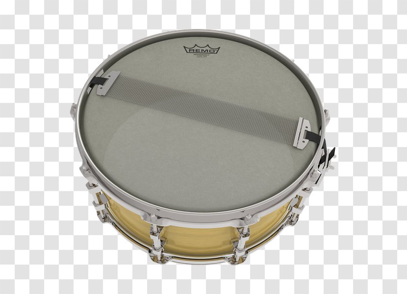 Tamborim Drumhead Remo Snare Drums - Percussion - Drum Transparent PNG