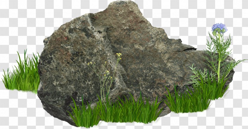Rock - Grass - Image Resolution Transparent PNG
