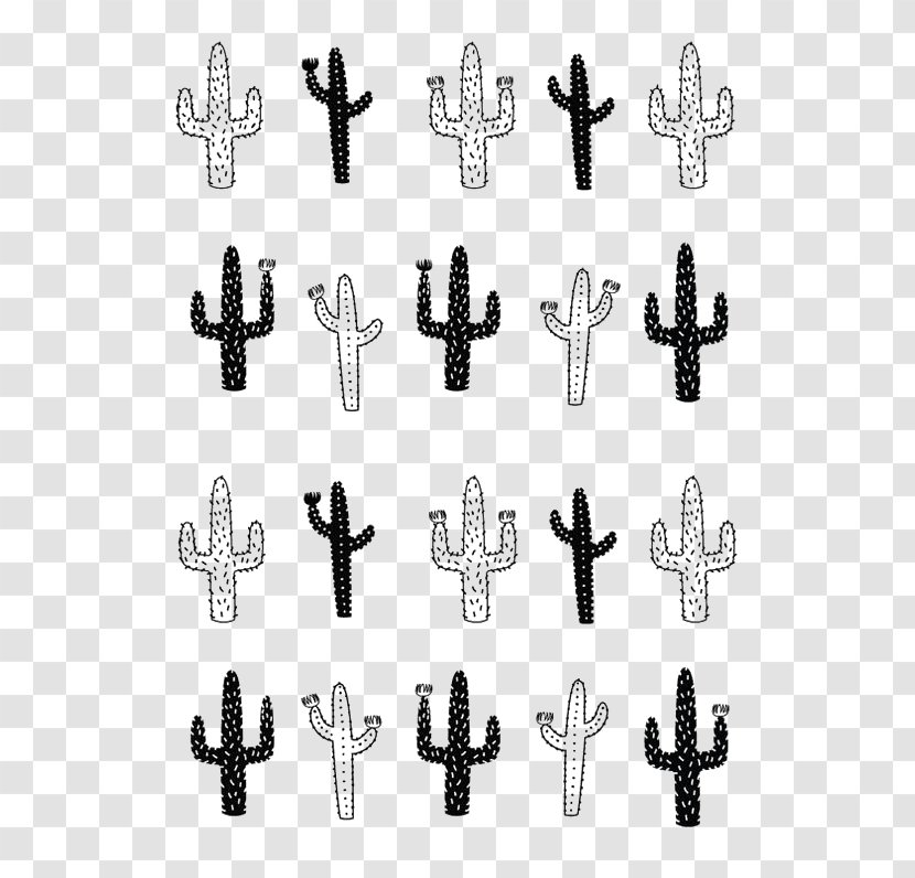 Cactaceae Drawing Canvas Illustration - Cartoon Cactus Transparent PNG