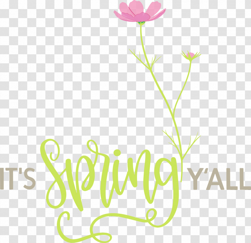 Floral Design Transparent PNG