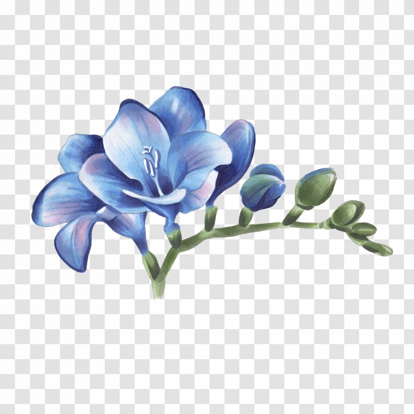 Freesia Abziehtattoo Cut Flowers - Branch - Flower Transparent PNG