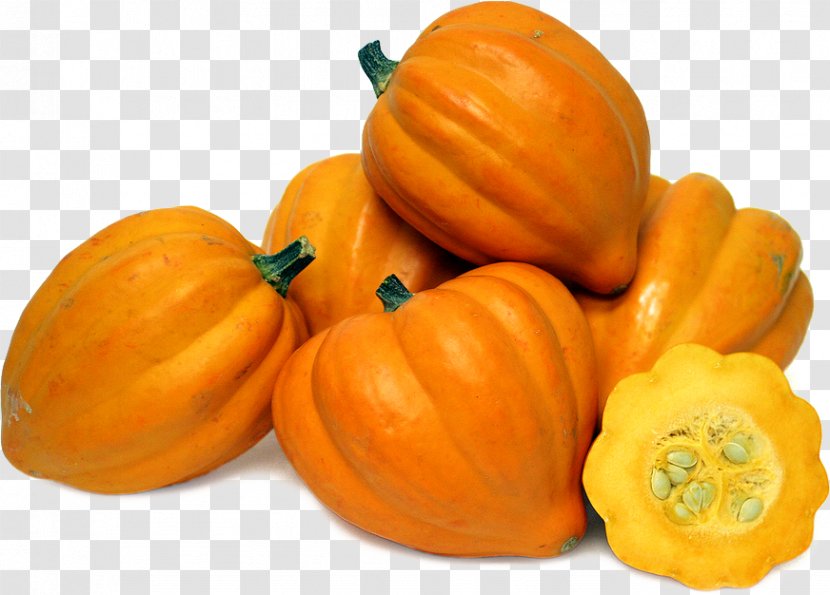 Butternut Squash Pumpkin Pattypan Cucurbita Maxima Acorn - Fruit - File Transparent PNG