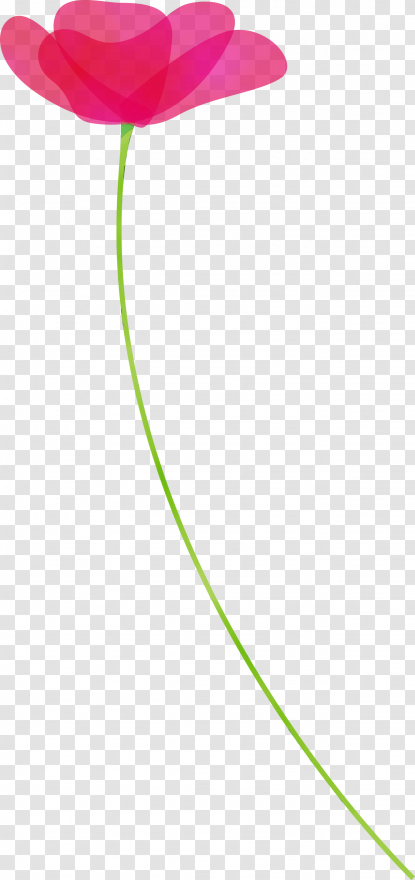 Green Line Leaf Plant Transparent PNG