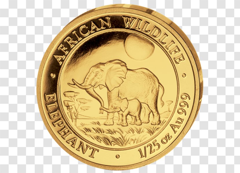 Africa Gold Coin Silver - Currency - 50 Fen Coins Transparent PNG
