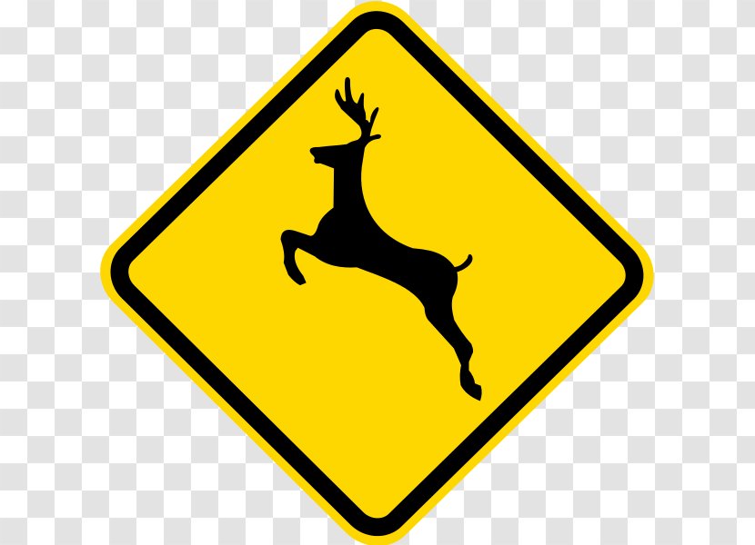 Deer Iowa Warning Sign Traffic - Giraffidae Transparent PNG