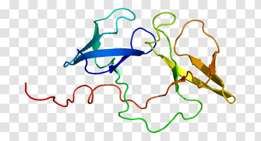 FMR1 Protein Fragile X Syndrome Gene - Watercolor - Nucleic Acid Sequence Transparent PNG