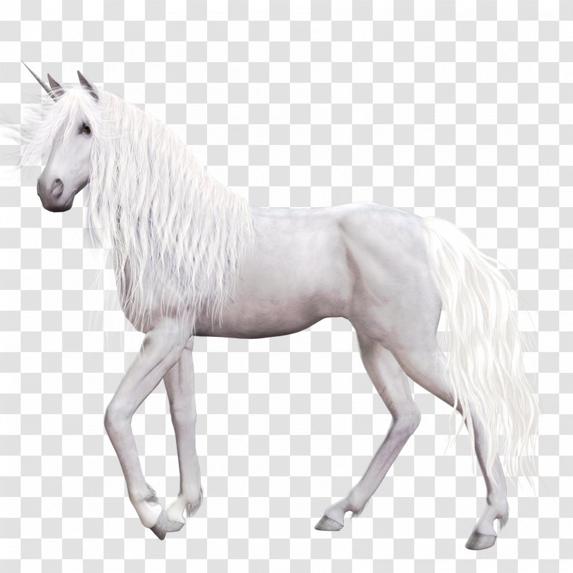 Horse Unicorn Pegasus Clip Art - Black And White - Background Transparent PNG