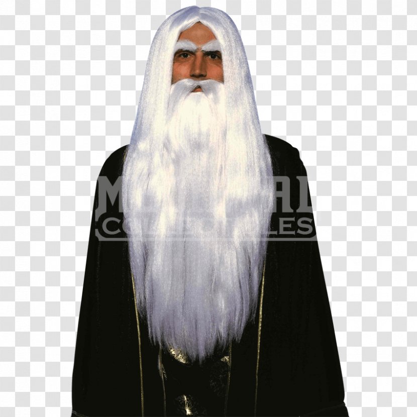 Gandalf Saruman Merlijn The Lord Of Rings: Fellowship Ring Magician - Costume - Wig Sets Transparent PNG