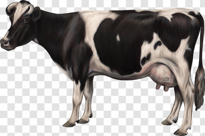 Cattle Ox Cow Clip Art - Channel - Cows Transparent PNG