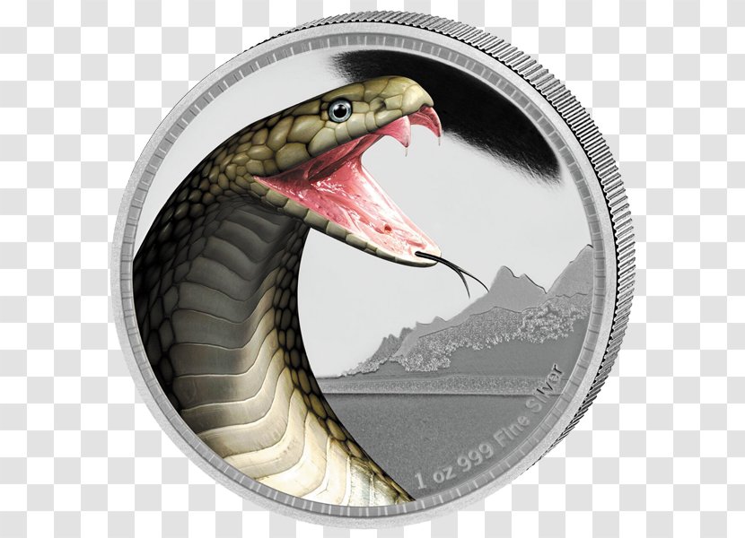 Snake King Cobra Silver Coin Transparent PNG