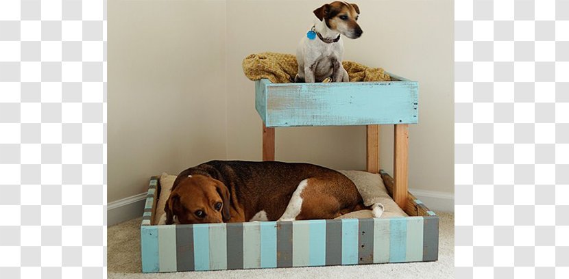 Dog Table Bunk Bed Pallet - Begging Transparent PNG